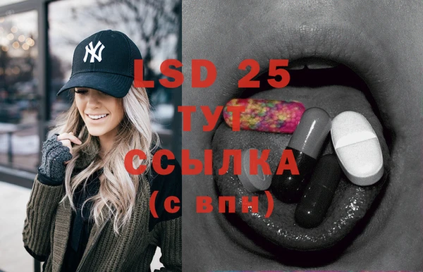 СК Верея