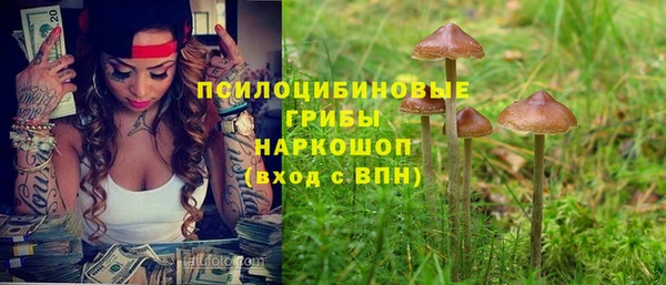 СК Верея