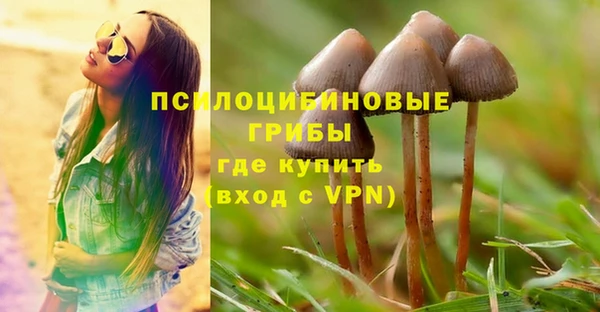 СК Верея