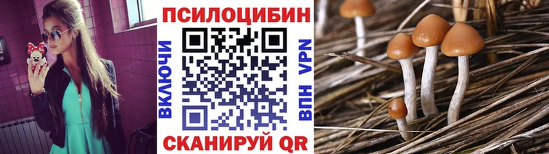 hydra онион  дарнет шоп  Вышний Волочёк  Псилоцибиновые грибы ЛСД 